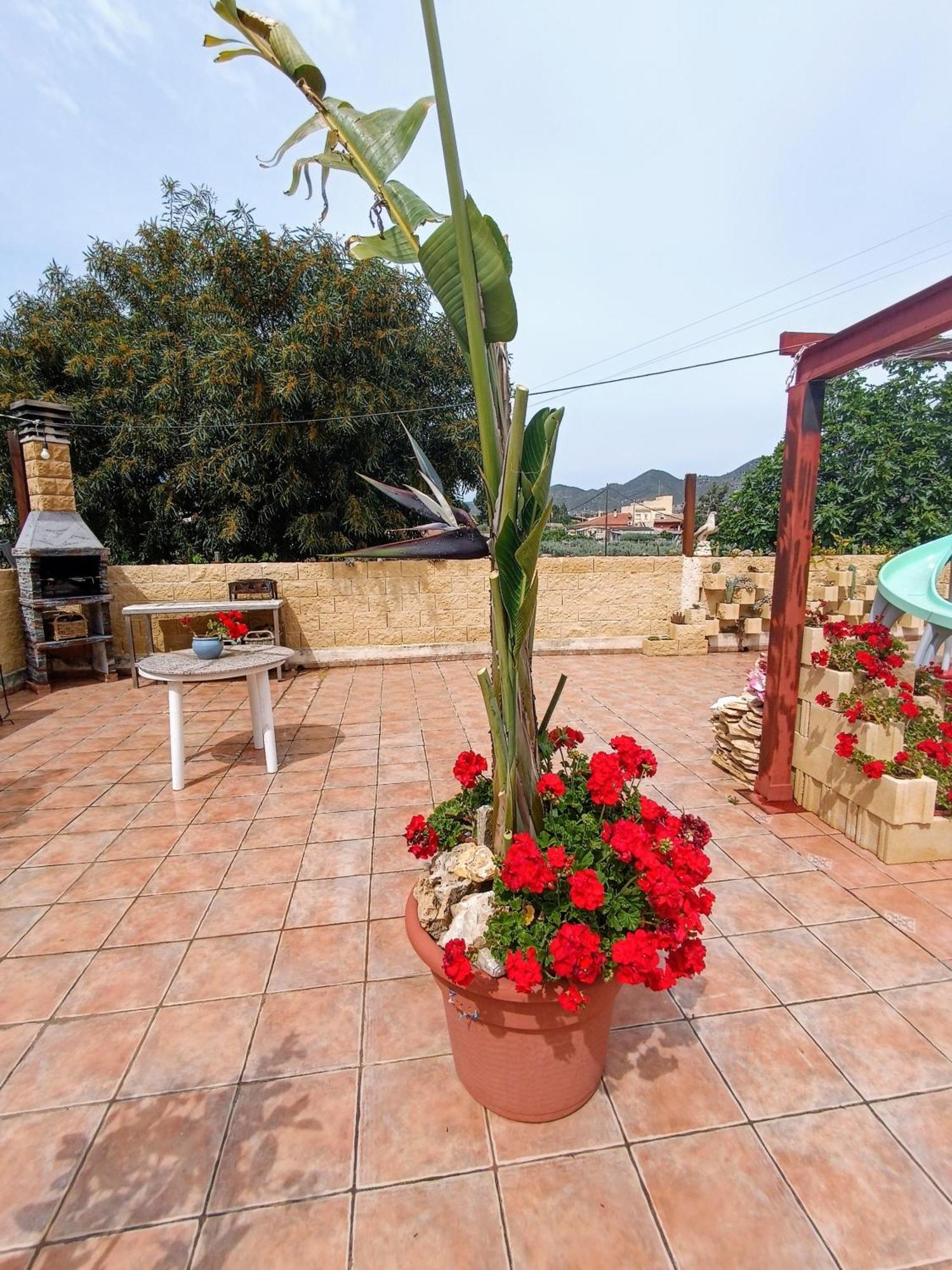 Casa Chalet Venta Ruizo ロルカ エクステリア 写真